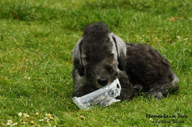 Antares 2009-07-12 (48).JPG